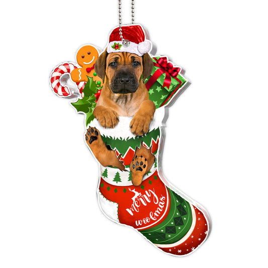 Rhodesian Ridgeback Tree Socks Acrylic Ornament