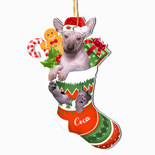 Personalized Mexican Hairless Dog In Christmas Stocking Aluminum Ornament