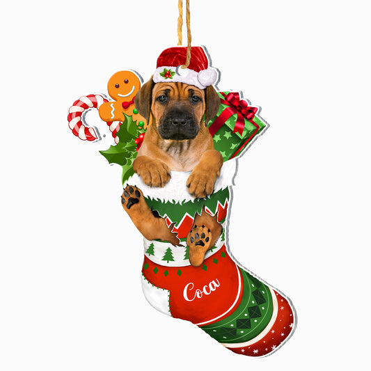 Personalized Rhodesian Ridgeback In Christmas Stocking Aluminum Ornament