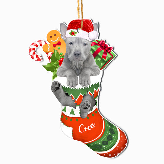 Personalized Thai Ridgeback In Christmas Stocking Aluminum Ornament