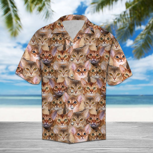 Abyssinian Awesome D0607 - Hawaii Shirt