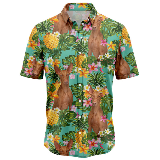 Tropical Pineapple Pharaoh Hound H97089 Hawaiian Shirt