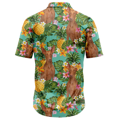 Tropical Pineapple Pharaoh Hound H97089 Hawaiian Shirt