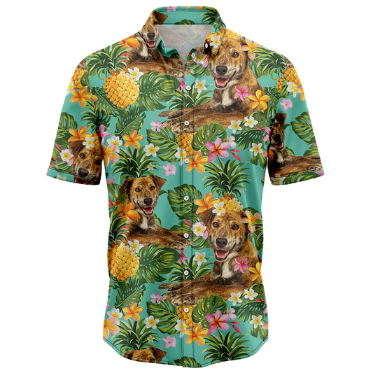 Tropical Pineapple Plott Hound H97082 Hawaiian Shirt