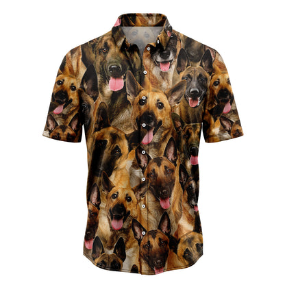 Belgian Malinois Awesome D0207 Hawaiian Shirt