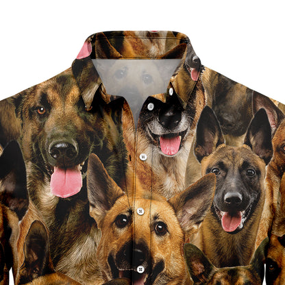 Belgian Malinois Awesome D0207 Hawaiian Shirt