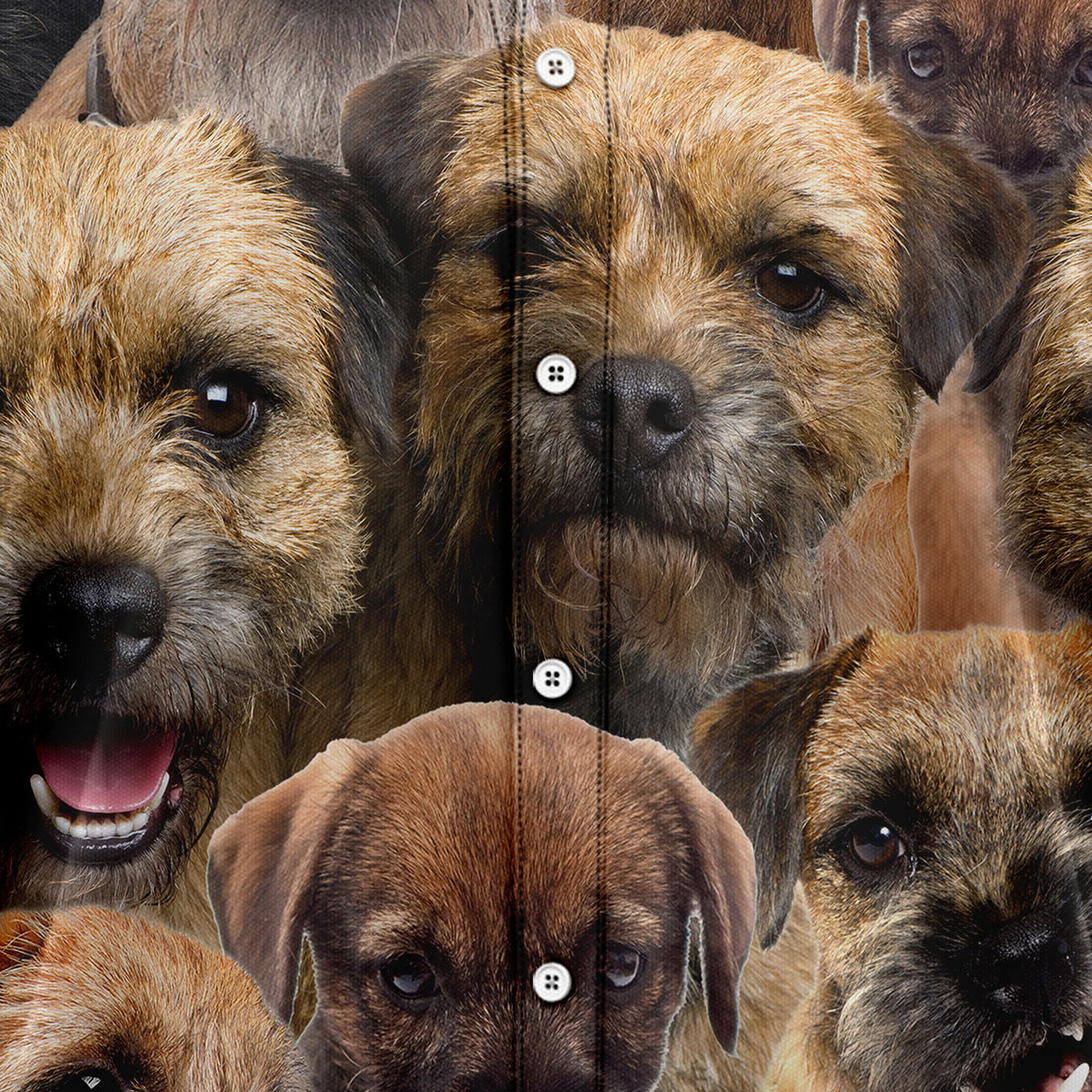 Border Terrier Awesome D0107 Hawaiian Shirt